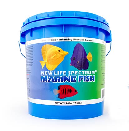 https://saltycritter.com/wp-content/uploads/2020/07/spectrum-marine-fish-bucket.jpg